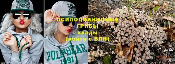 ГАЛЛЮЦИНОГЕННЫЕ ГРИБЫ Абинск