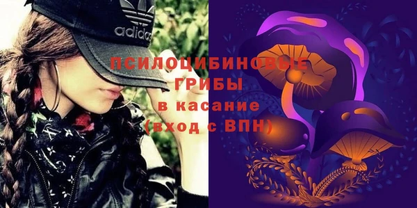 ГАЛЛЮЦИНОГЕННЫЕ ГРИБЫ Абинск