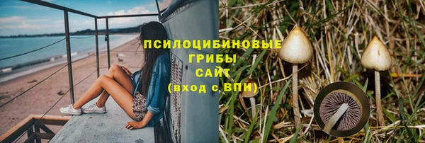 молекула духа Алексин