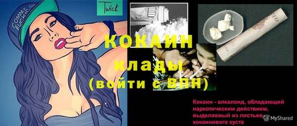 молекула духа Алексин
