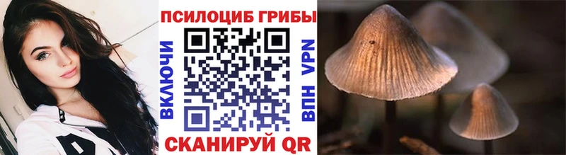 Псилоцибиновые грибы мухоморы  где купить наркоту  Брюховецкая 